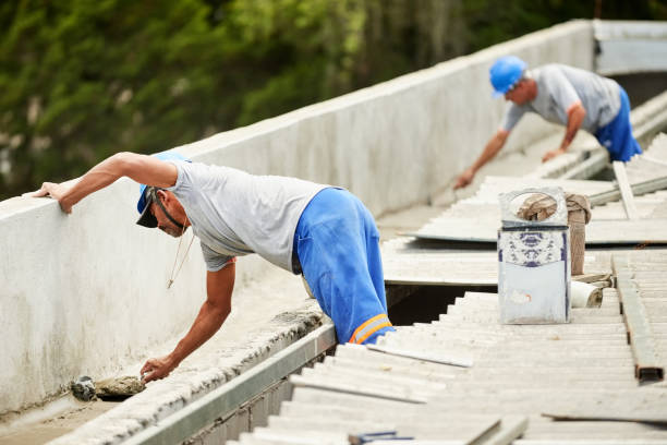 Best Home Insulation Services  in Acres Green, CO