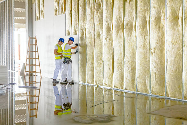 Best Insulation for New Construction  in Acres Green, CO